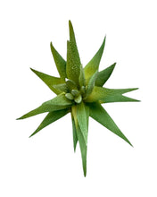Load image into Gallery viewer, Artificial Mini Aloe Succulent - 16cm