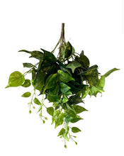 Load image into Gallery viewer, Arificial Pothos
