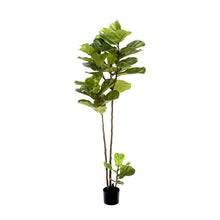 Load image into Gallery viewer, Artificial Plants - Fidlle Leaf Ficus 180cm
