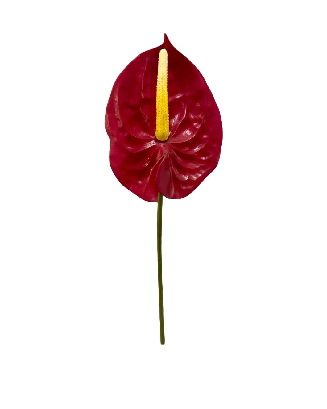 Artificial Anthurium