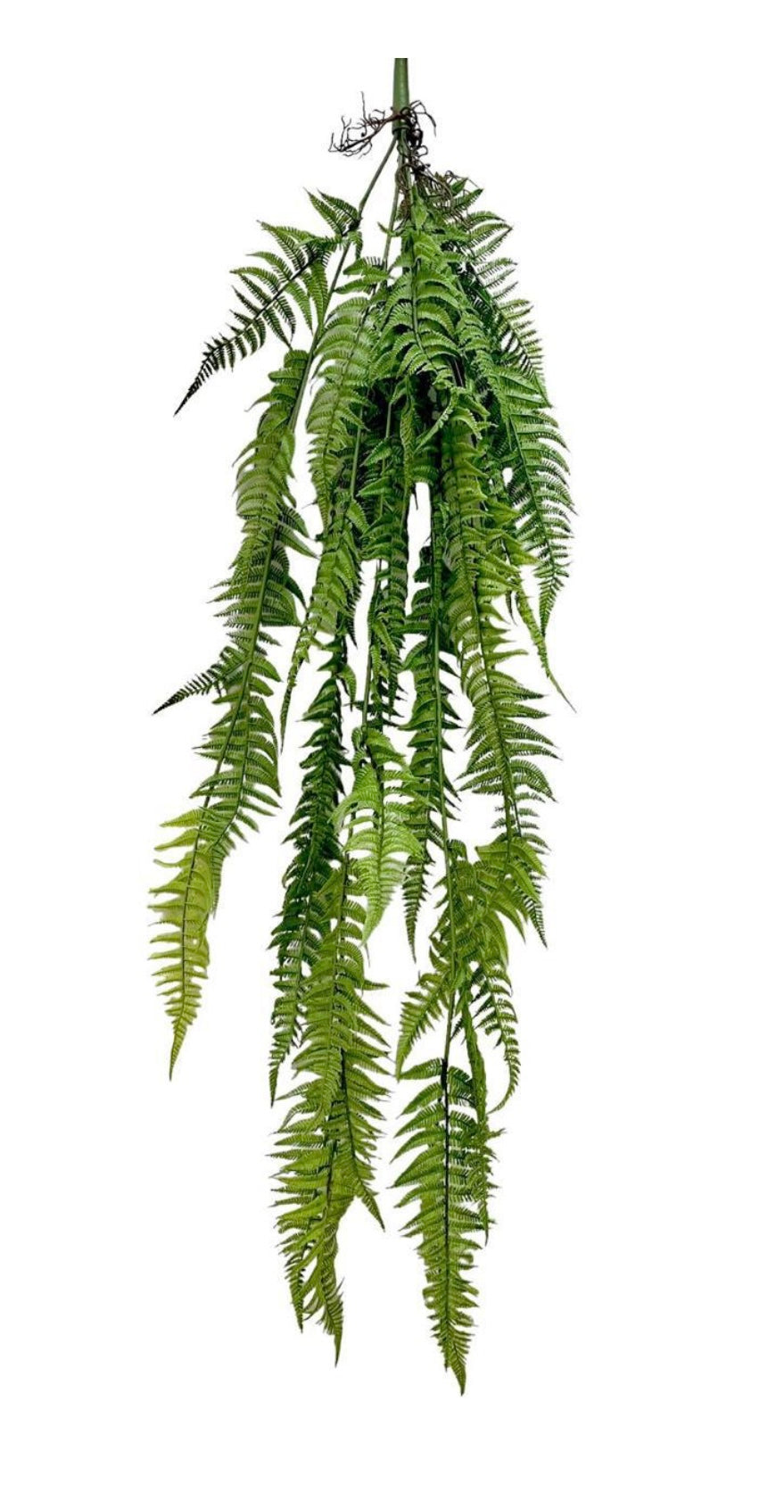Hanging Fern 110cm