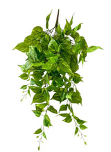 Load image into Gallery viewer, Arificial Pothos
