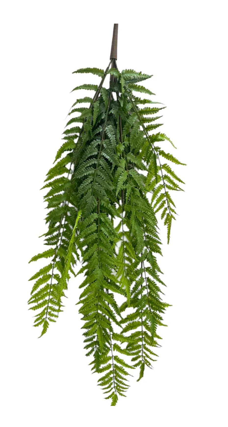 Hanging Fern 90cm