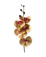 Load image into Gallery viewer, Artificial Orchid 5 Flower 85cm
