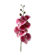 Load image into Gallery viewer, Artificial Orchid 5 Flower 85cm
