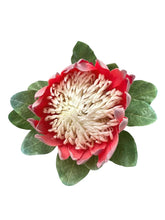 Load image into Gallery viewer, Artificial Protea
