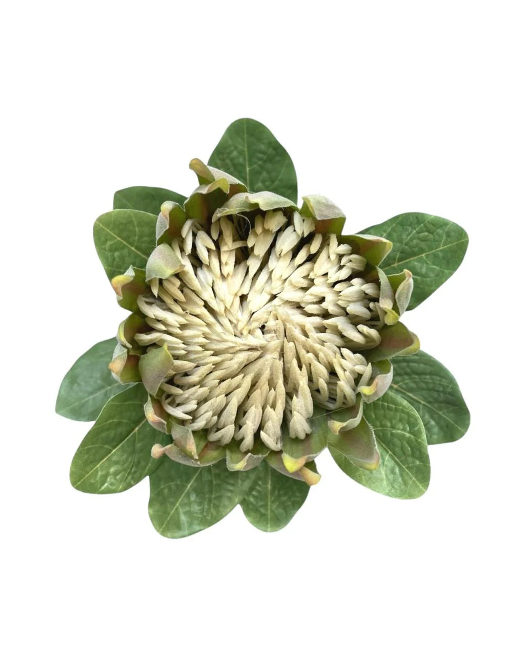 Artificial Protea