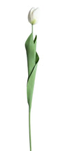Load image into Gallery viewer, Artificial Tulip
