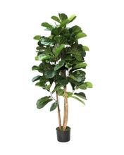 Load image into Gallery viewer, Artificial Fiddle Fig Leaf Tree
