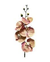 Load image into Gallery viewer, Artificial Orchid 5 Flower 85cm
