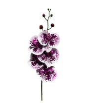 Load image into Gallery viewer, Artificial Orchid 5 Flower 85cm
