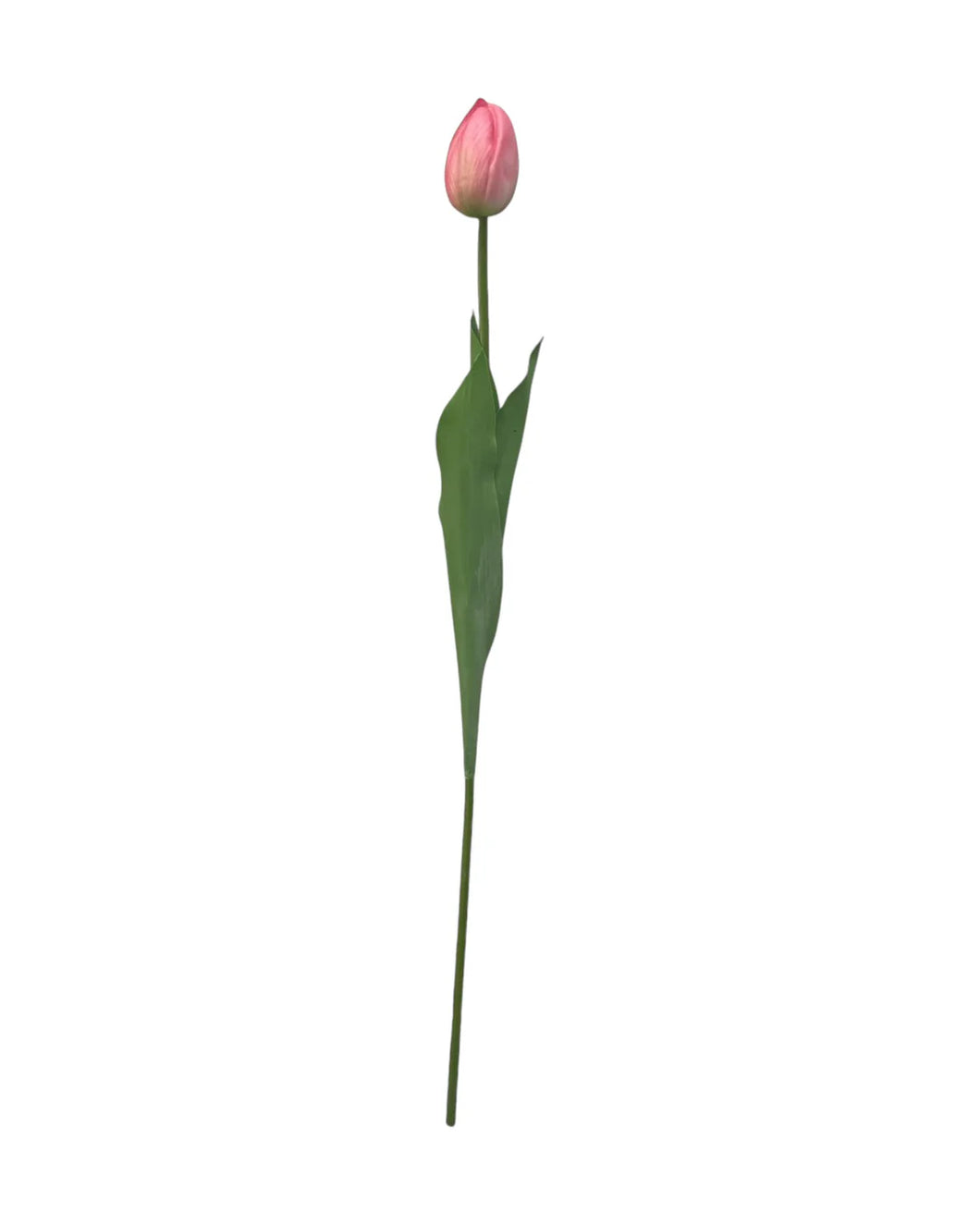 Artificial Tulip