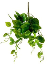 Load image into Gallery viewer, Arificial Pothos
