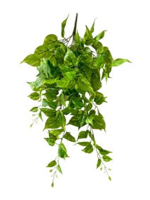 Arificial Pothos
