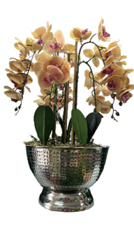 Artificial Potted Orchid- Large (70cm Height)