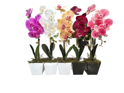 Artificial Potted Orchid Potted - 60cm x 12cm