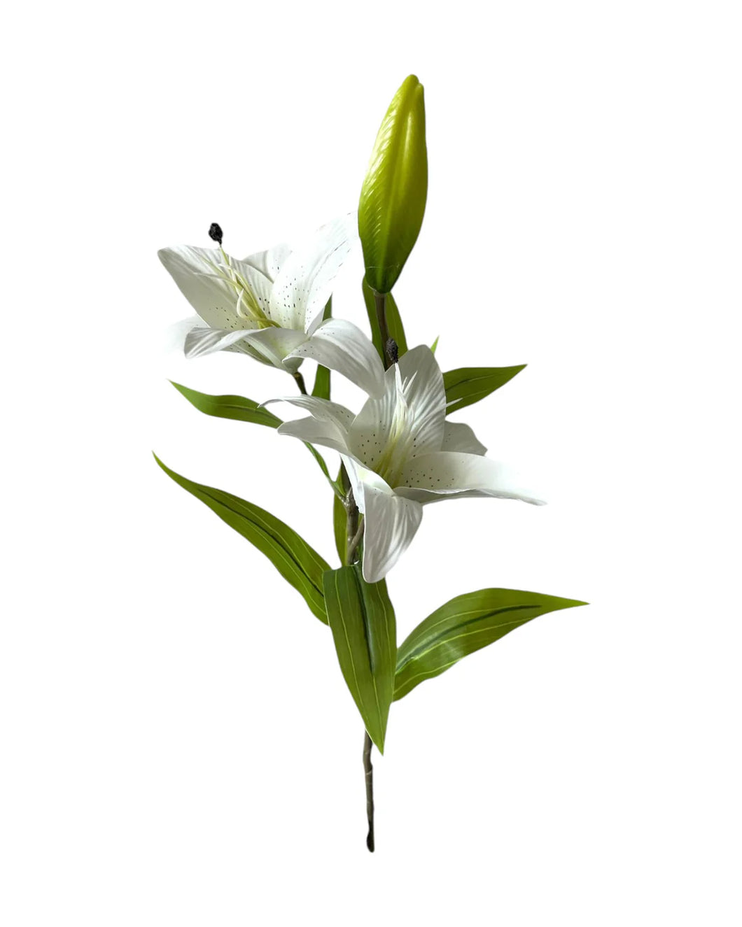 Artificial Tiger Lilly
