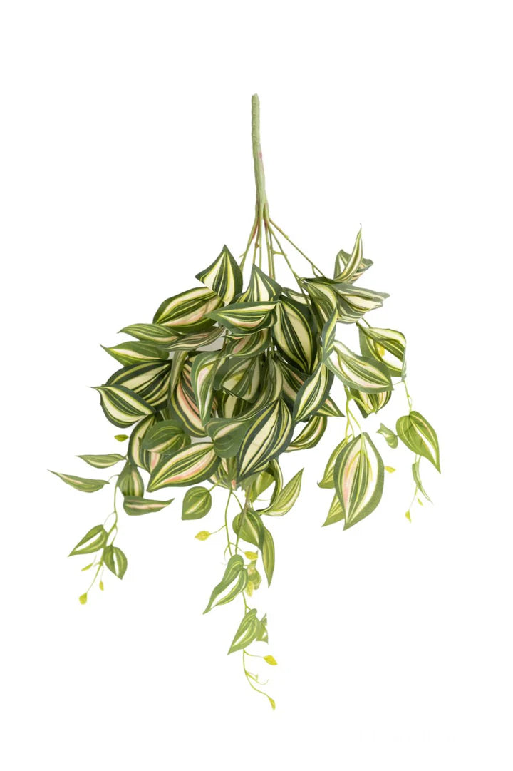 Artificial Tradescantia