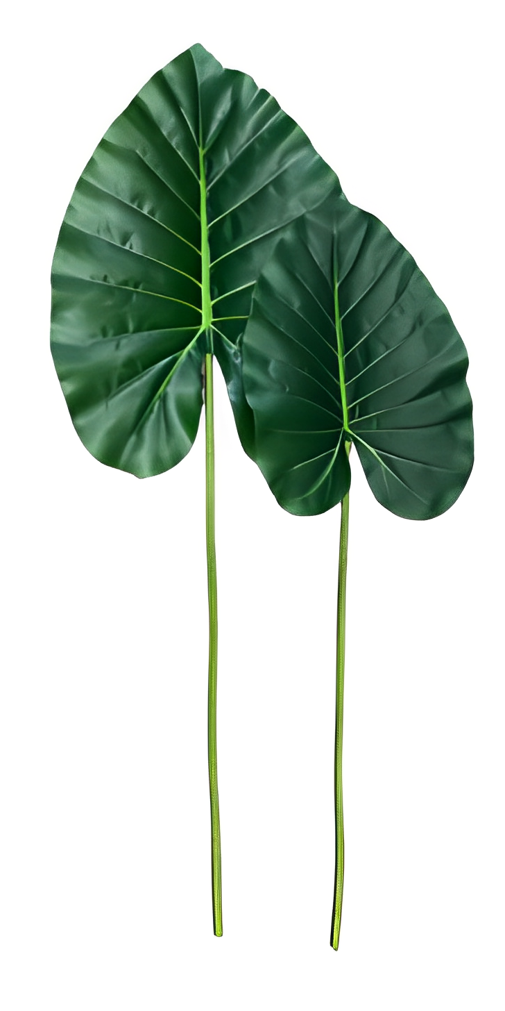 Artificial Delicious Monster Wild Leaf