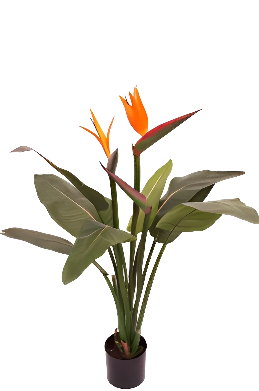 Artificial Strelitzia Plant - 90cm
