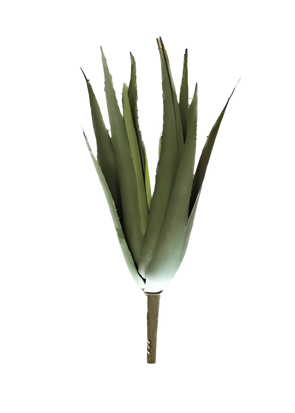 Artificial Aloe Forex - 76cm