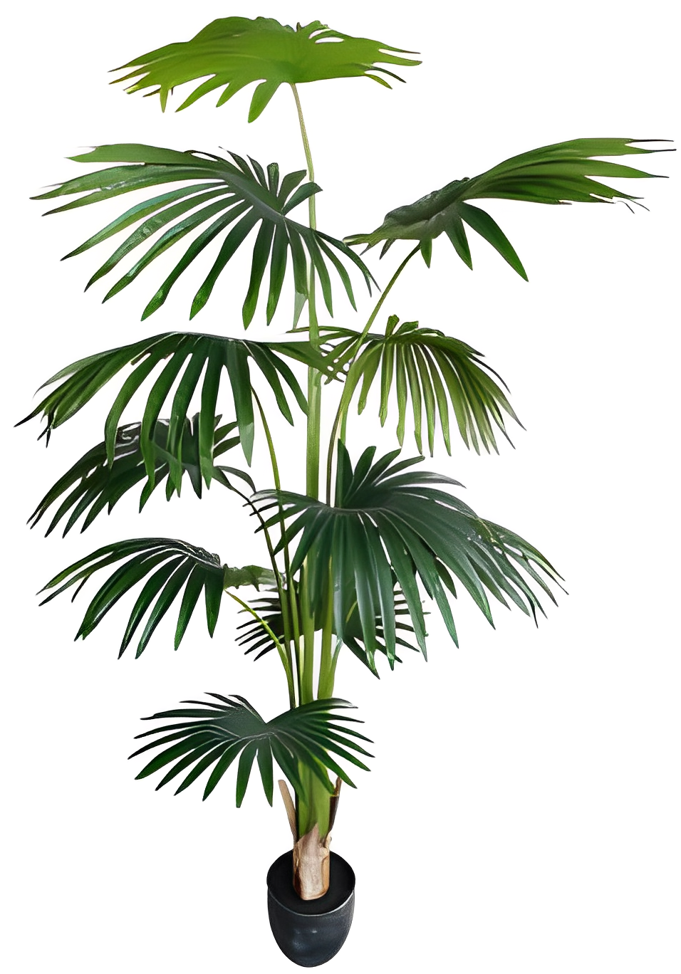 Artificial Palm Fan Tree