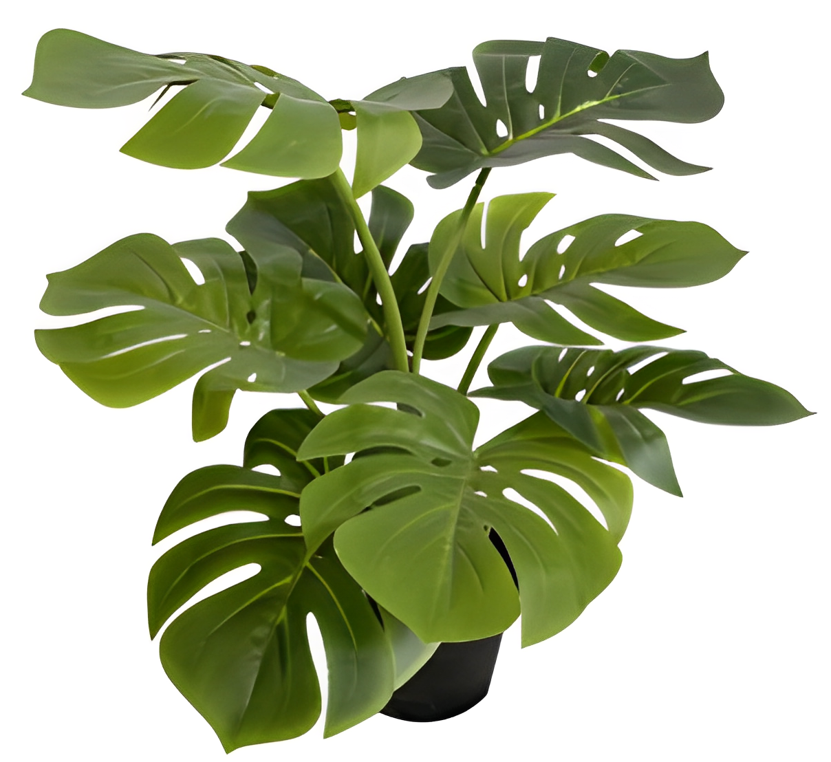 Artificial Delicious Monster Plant - 60cm – Green Design