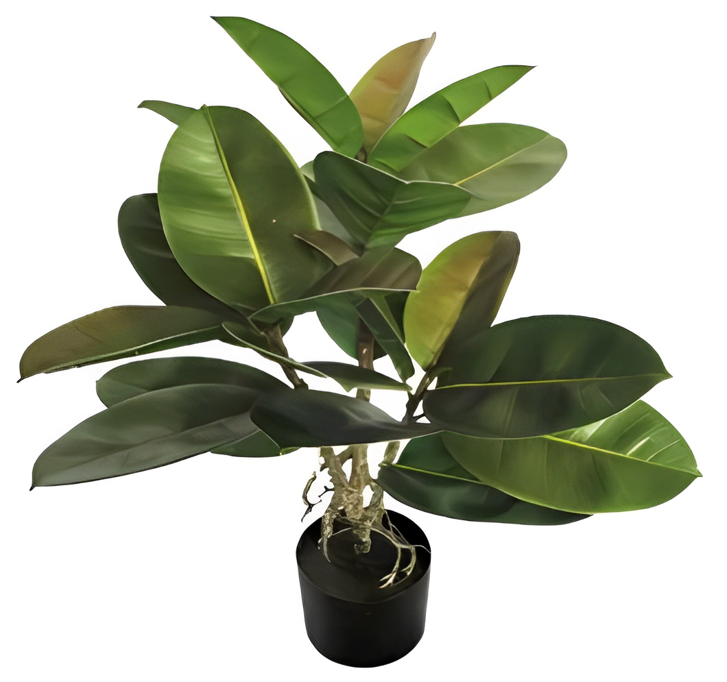 Artificial Rubber Plant - 91cm