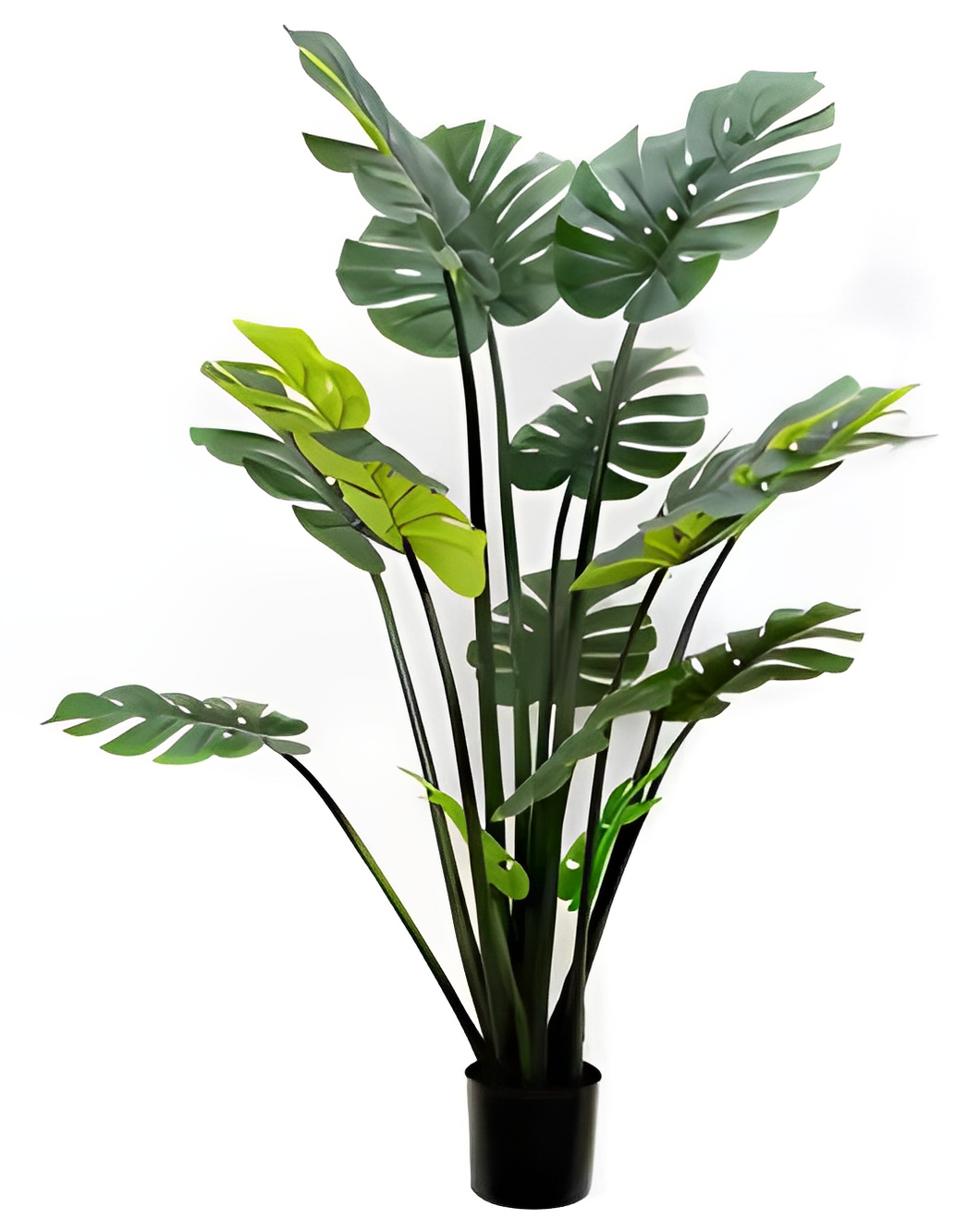 Artificial Split Philo Tree