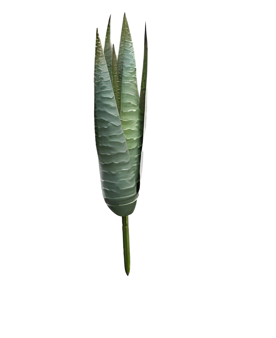 Artificial Agave Aloe Green - 11cm