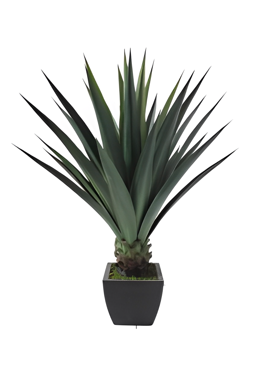 Artificial Sisal Plant - 110cm