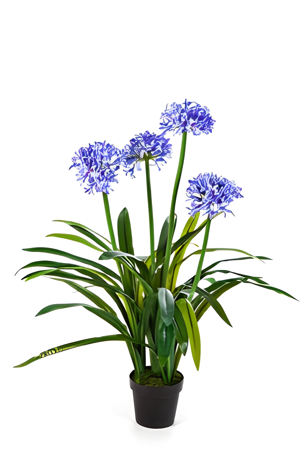 Artificial Agapanthus Plant - 90cm