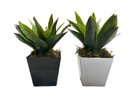 Artificial Potted Agave - 30cm x 12cm