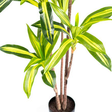 Load image into Gallery viewer, Artificial Plants - Dracaena Variegated 160cm
