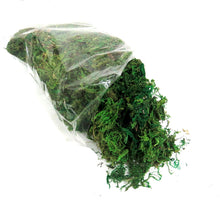Load image into Gallery viewer, Artificial Plants - Artificial Moss 100g
