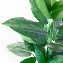 Load image into Gallery viewer, Artificial Plants - Calla Lily 90cm
