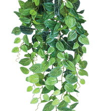 Load image into Gallery viewer, Artificial Plants - Hanging Fittonia 90cm
