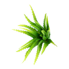 Load image into Gallery viewer, Artificial Plants - Aloe Pvc 24cm
