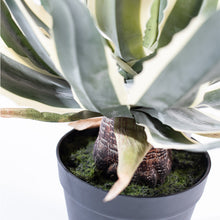 Load image into Gallery viewer, Artificial Plants - Agave 45cm

