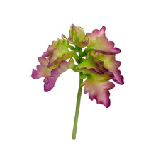 Load image into Gallery viewer, Artificial Plants - Succulent Triangle Denticle 18cm
