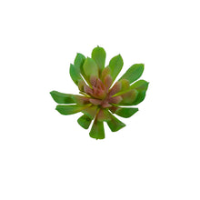Load image into Gallery viewer, Artificial Plants - Succulent Rock Rose Green &amp; Pink 10cm
