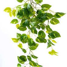 Load image into Gallery viewer, Artificial Plants - Hanging Epipremnum Bush 108cm

