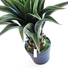 Load image into Gallery viewer, Plant Couture - Artificial Plants - Agave 55cm - Close Up
