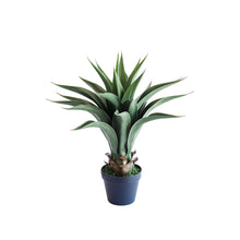 Load image into Gallery viewer, Plant Couture - Artificial Plant &amp; Pot Combo - Agave 55cm
