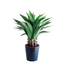 Load image into Gallery viewer, Plant Couture - Artificial Plant &amp; Pot Combo - With Middle Agave 90cm
