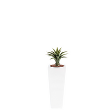 Load image into Gallery viewer, Plant Couture - Artificial Plant &amp; Pot Combo - Armani B with Agave 55cm
