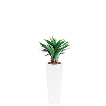 Load image into Gallery viewer, Plant Couture - Artificial Plant &amp; Pot Combo - Armani B with Agave 90cm

