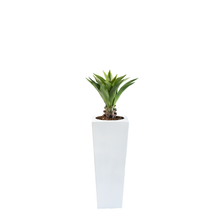 Load image into Gallery viewer, Plant Couture - Artificial Plant &amp; Pot Combo - Armani B with Agave Middle 90cm
