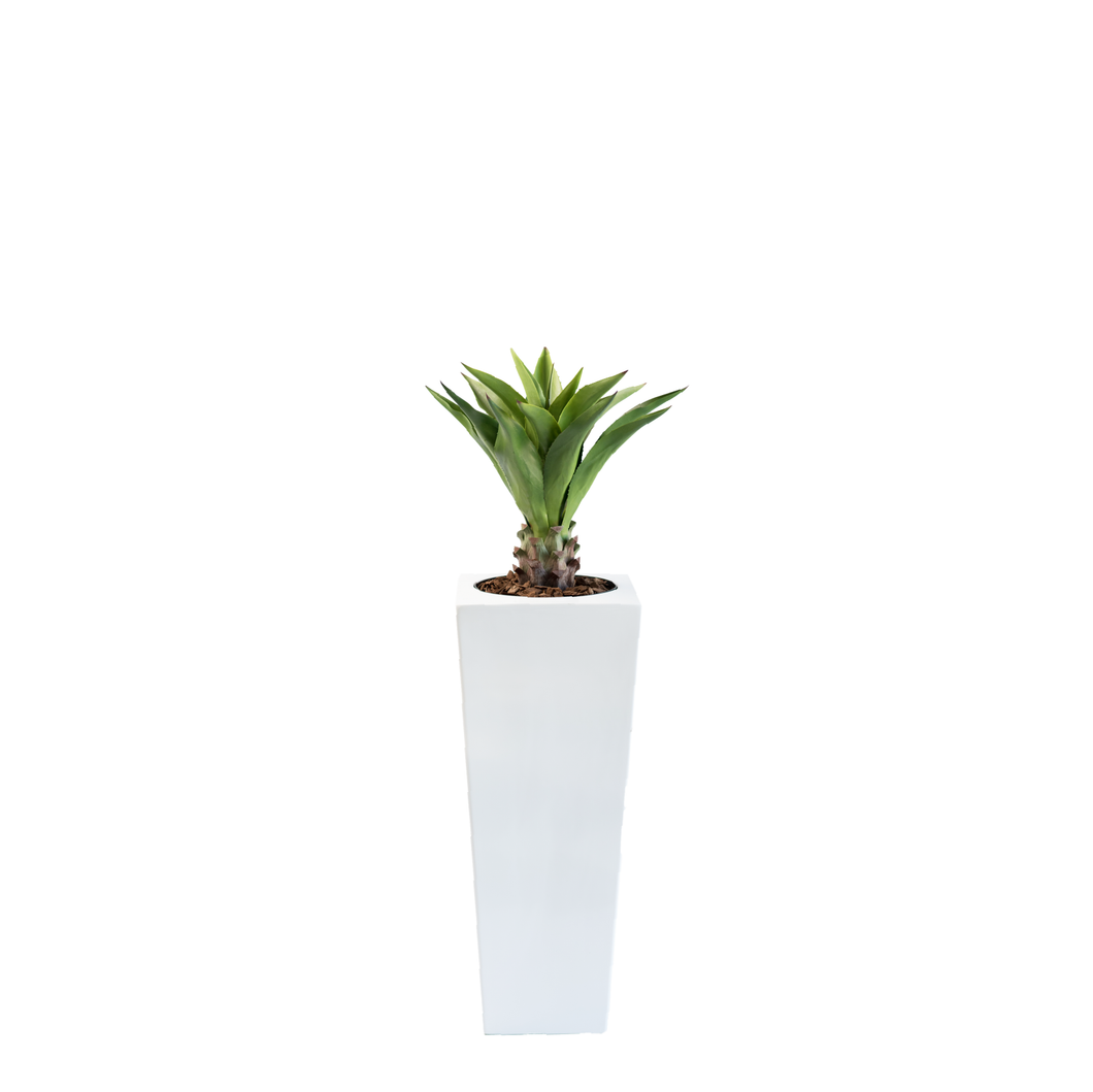 Plant Couture - Artificial Plant & Pot Combo - Armani B with Agave Middle 90cm