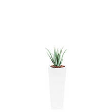 Load image into Gallery viewer, Plant Couture - Artificial Plant &amp; Pot Combo - Armani B with Aloe 70cm
